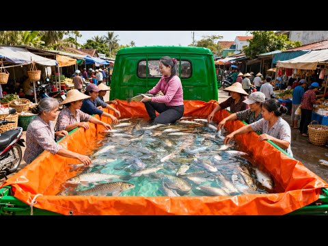 Harvesting 100+ Pomfret from Village Pond Transport by Truck Go To Market Sell | Tieu Hue Daily