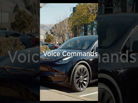 Grok Arriving in Teslas