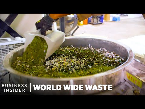 Meet 8 Young Founders Turning Trash Into Cash | World Wide Waste | Business Insider