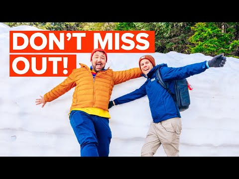 We Cruised Alaska - It’s Not to be Missed