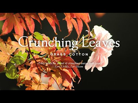 낙엽 밟는 소리가 기분 좋은 하루 l GRASS COTTON+