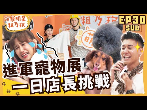 [SUB] EP30 進軍寵物展！ Sandy 呵喜 一日店長挑戰 不可能的任務！ 風田: 買周邊送親密接觸 【 萌寵明星粗乃玩 】@haveapetday