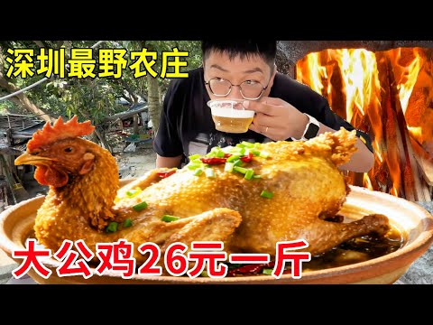 深圳最野最隐蔽农庄，果园大公鸡26元一斤，柴火炒鸡嘎嘎香#麦总去哪吃