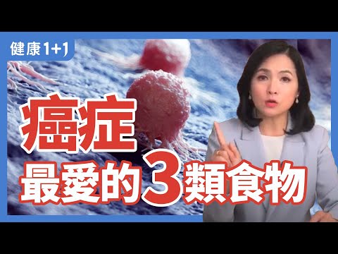 癌症最愛的3類食物 | 健康1+1 · 直播精選