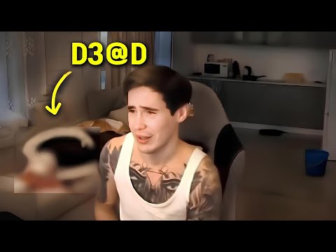 When Streamers Ruin Their Lives In Seconds..