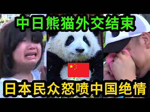 给钱也不租！中国将收回最后两只大熊猫，日本民众嚎嚎大哭指责中国绝情！