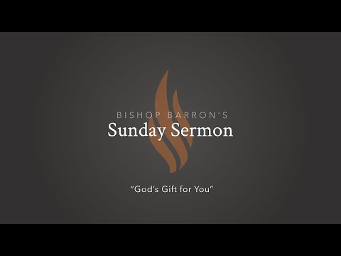 God’s Gift for You — Bishop Barron’s Sunday Sermon || Bishop Barron’s