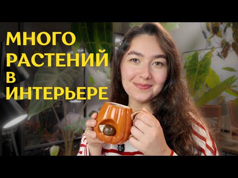 HOW TO BEAUTIFULLY PLANT A LOT OF PLANTS IN AN APARTMENT | PLANTS IN THE INTERIOR | IDEAS and REF...