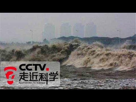 《走近科学》保护钱塘江大潮 20170531 | CCTV走近科学官方频道