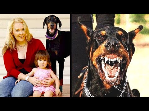 This Family Adopted A DOBERMAN But After 5 Days They Heard A SCREAM