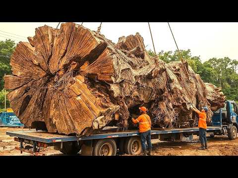 With a Giant Tree Trunk - This Carpenter Preserved Wood to Create a Thousand Dollar Masterpiece!