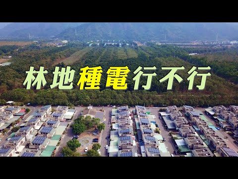 【砍樹種電】林地種電行不行│綠意與綠能陷兩難？( 我們的島 第1045集 2020-03-09)