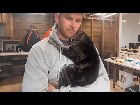 When you own the SWEETEST Affectionate Cat in the world