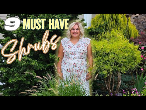 My 9 Must-Have Shrubs: Add Structure and Color to Your Garden All Year Round!