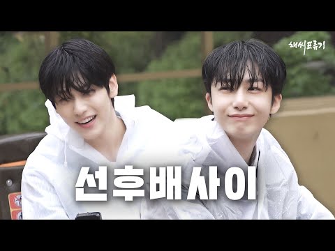 토끼상의 새 친구(이)가 나타났다! 효과는 굉장했다!   「채씨표류기」 8화