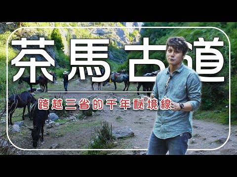 不是在拍電影！廖科溢走上世界最壯麗古道「茶馬千年線」！虎跳峽到扎尕那，一路翻山入藏地秘境｜中國／四川／雲南／甘肅／Sichuan／Yunnan／Gansu｜#廖科溢 #茶馬古道