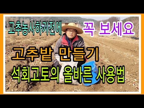고추밭 만들기 1부. 석회고토 올바르게 사용하는 방법 꼭보세요 도움되실거에요