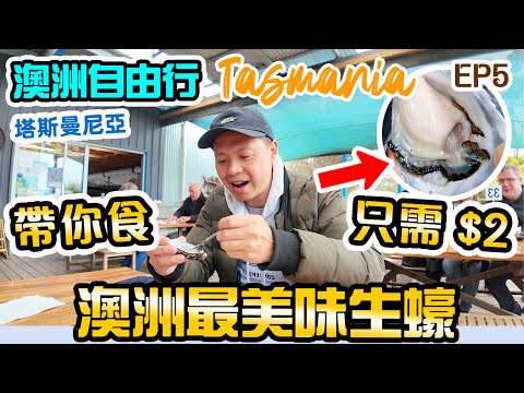 【澳洲自由行 2024】澳洲塔斯曼尼亞世外桃源 澳洲極級美食之旅 找到人生最美味生蠔 | 澳洲自駕遊 悉尼 墨爾本 塔斯曼尼亞 Tasmania EP5