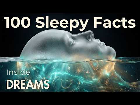 What Happens in Your Brain When You Dream? Sleepy Mind Science