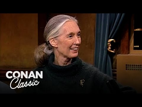 Jane Goodall Thought Tarzan’s Wife Was "A Wimp"| Late Night with Conan O’Brien