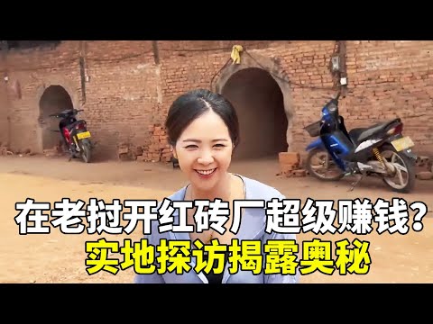 在寮國開紅磚廠是血賺還是血虧?實地探秘,揭露沒人敢說的行業禁忌【寮國浪子】#老撾生活#老撾媳婦#生活日常