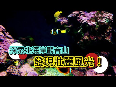 從金色沙灘到海蝕崖,東北角的風光故事│【台灣國家風景區】