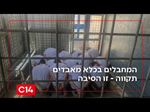 תרחיש הבלהות של חמאס: קריסת ההסכם וחזרה ללחימה | החדשות