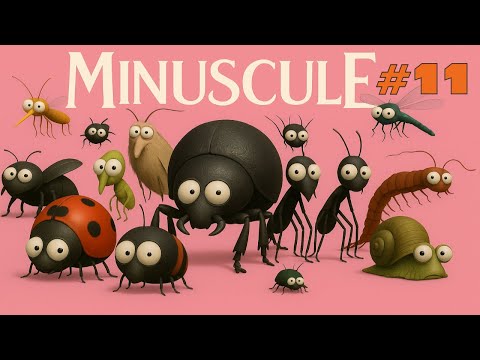 Minuscule - Compilation #11 #antkeeper #hobby #ants #diy #forkids #swiss #nature