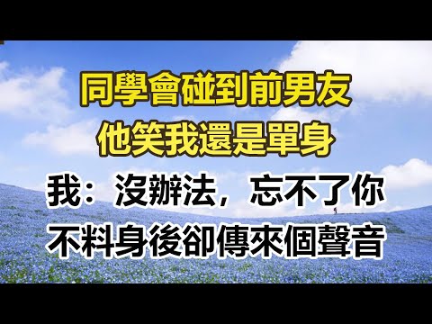 同學會碰到前男友，他笑我還是單身，我：沒辦法，忘不了你，不料身後卻傳來個聲音。#幸福敲門 #為人處世 #生活經驗 #情感故事