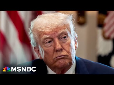 'It's a gangster state': Raskin eviscerates Trump after "No Kings" protest