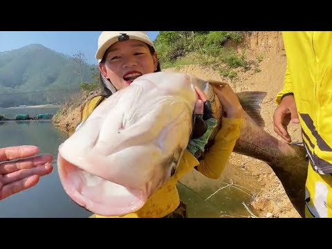 【美女搏巨物合集】80斤美女手杆挑战百斤大鱼,野水库钓上一尾50斤的巨型鲢鳙,你们见过吗?