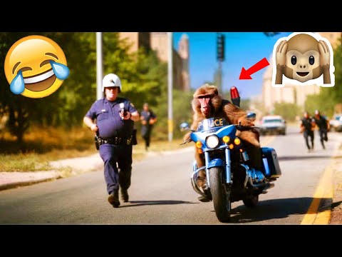 The Funniest Fails Ever – Try Not to Laugh Edition #14