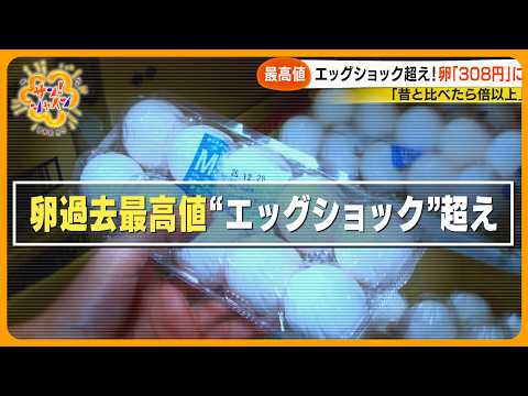 【家計直撃】卵の価格が過去最高値1パック「308円」に…2年前の「エッグショック」超え【サン!シャインニュース】