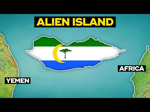 What on Earth is Socotra? (Not Yemen)