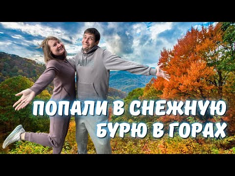 Deer, elk, and the mysterious town of Cherokee—a trip we'll never forget