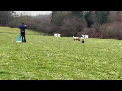 Rob Ellis and Dewi Ken 2025