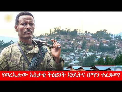 Anchor Special የወረኢሉው አስቃቂ ትዕይንት እንዴትና በማን ተፈጸመ?