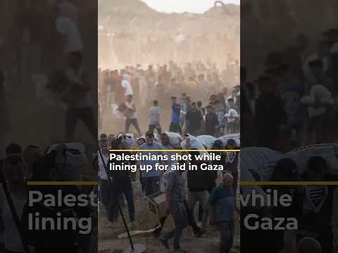 Palestinians shot while lining up for aid in Gaza | AJ #shorts