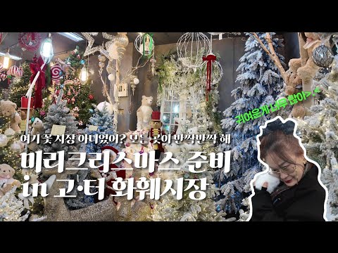 🎄크리스마스에 진심인 사람은 주목🎄미리크리스마스 준비, 고·터 화훼시장을 가보았다