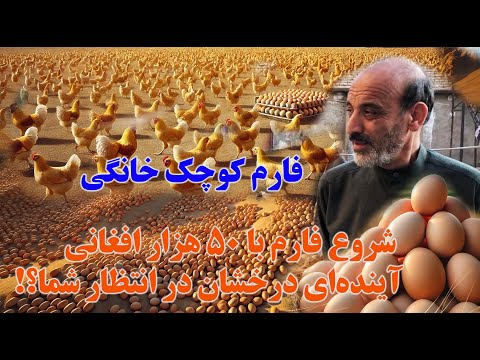 تولید تخم نطفهدار و تخم خوراکی در مدت ۳ ماه: راهی به سوی سودآوری سریع!| فارم خانگی کوچک