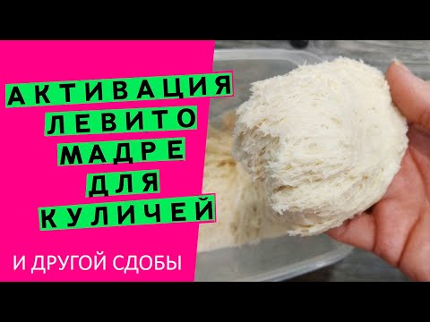 Активация левито мадре//Секреты идеального кулича {Увеличиваем подъемную силу. Часть 2}