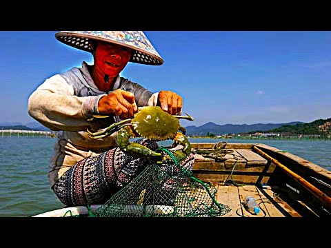 昂贵的青蟹是如何养殖的？简单却不可思议的一生，饱受璀璨而又尊荣华贵，以及剧毒海蜇的神奇繁殖模式