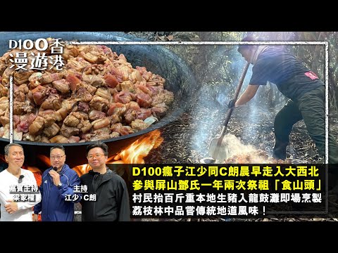【首播】晨早走入大西北參與屏山鄧氏一年兩次祭祖「食山頭」村民抬百斤重本地生豬入龍鼓灘即場烹製，荔枝林中品嘗傳統地道風味！江少食到停唔到口？！︱D100漫遊香港｜主持：江少，C朗，嘉賓主持：梁家權