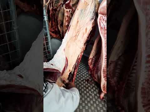Remove and trim hindquarter Rose meat with Franco. Beef Butchery