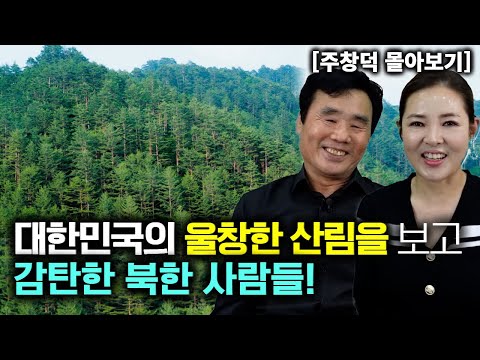 [주창덕_몰아보기] 대한민국의 울창한 산림을 보고 감탄한 북한 사람들!