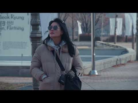 Panasonic DC-GH5s 4:2:2 10-bit VlogL 24fps | 16:9 | Lumix G 14-140mm ASPH Lens | Ansan Korea