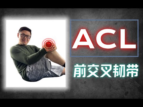 ACL损伤还能重返赛场吗？美国康复医生揭秘康复全攻略