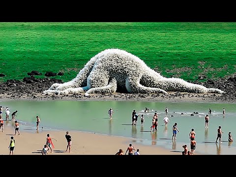 That Was Really Filmed on Camera