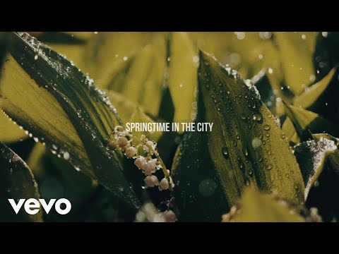 Hozier - Wildflower and Barley