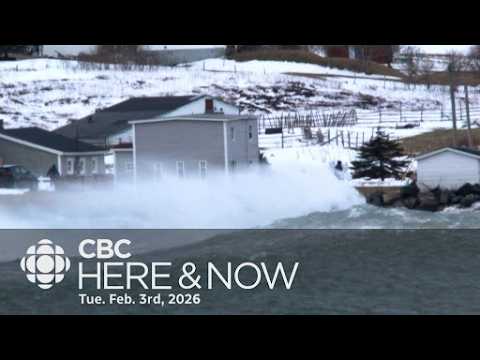 Here & Now Tuesday, Feb 3 2026 l Trepassey calls state of emergency as breakwater destroyed by storm